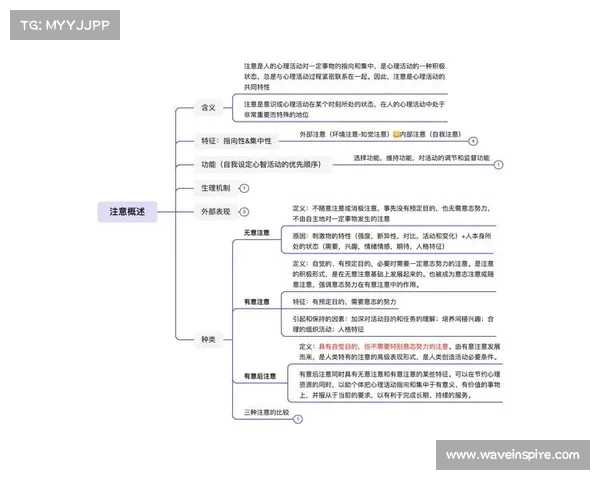 霍伊伦心里阴影面积逐渐扩大分析及其心理影响因素的深度剖析 霍伊伦心里阴影面积逐渐扩大分析及其心理影响因素的深度剖析